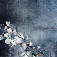 flowering twig on vintage background