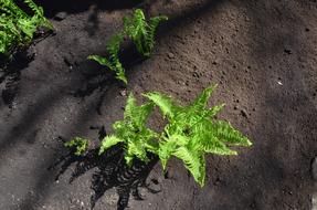 Ground Soil Outdoor