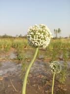 Photography Mobile Click Shots