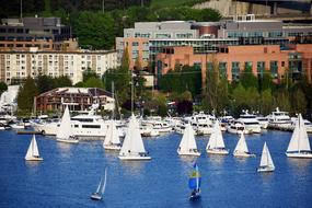 Sailing Boats in Lake