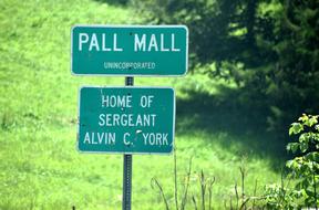 green sign landscape view