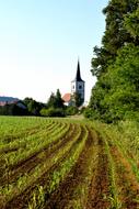 Church Village Green