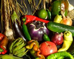 large harvest vegetables