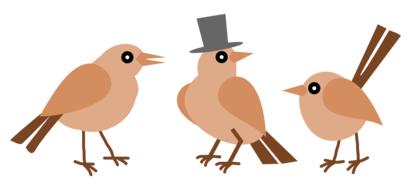 three funny birds