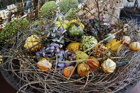 there are plenty of fresh vegetables in the basket