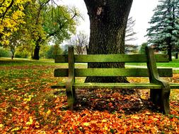 a green bench in a beautiful park