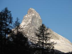 mountain with trees landscape