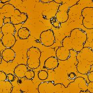 orange background scrapbooking paper