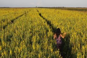 charming girl Field Crop