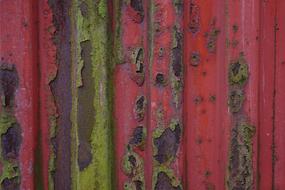 Rust Texture red green