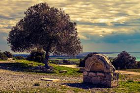 Ancient Stone house and tree