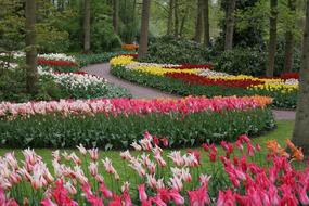 a beautiful landscape by the flowers in the garden