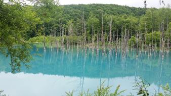 Japanese blue lakes in the park