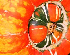 carved circle on the pumpkin