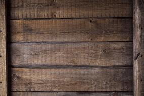 Tree Boards Background wood texture