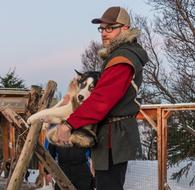 Husky Dog Sled at winter