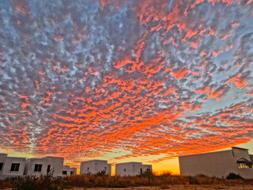 Los Cabos Sunset Twilight