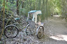 Chinese Pushes Transport