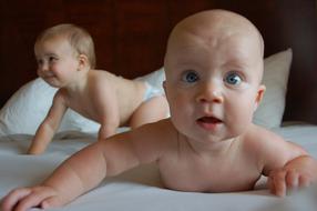 portrait of Infant Boy Babies