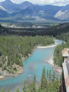 flowing river in the wild