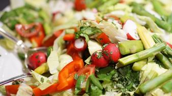 fresh salad of vegetables and spices