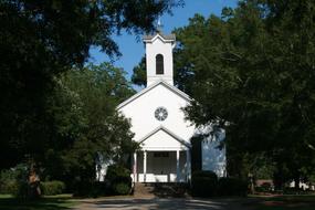 Country Church Woods