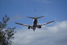 an airplane flies in the blue sky