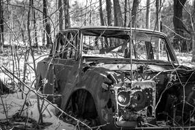 Rusted Car aged in forest