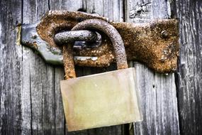 golden lock on a wooden gate