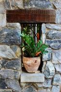 potted flower on a narrow window of a stone building