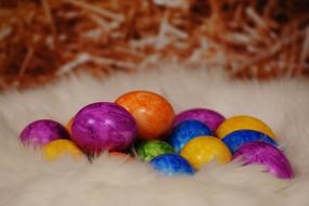 brightly colored eggs in a fluffy nest