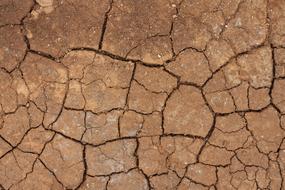 Dried Up Cracked Terry sand
