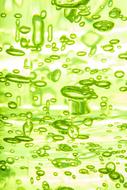 green bubbles on white background