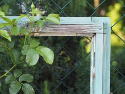 Wood Window Frame