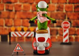 funny frog on a motorcycle