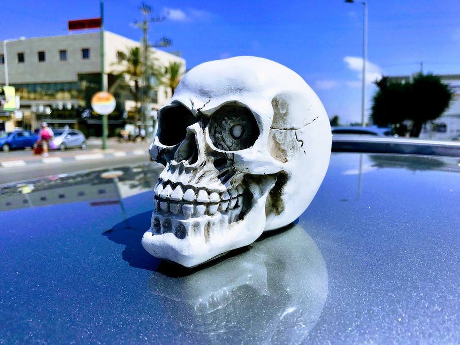 white man's skull