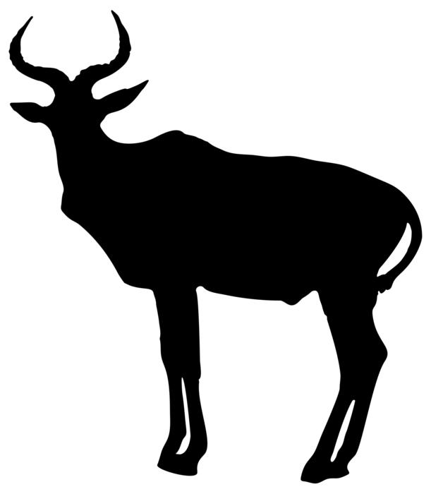 africa animal antelope drawing