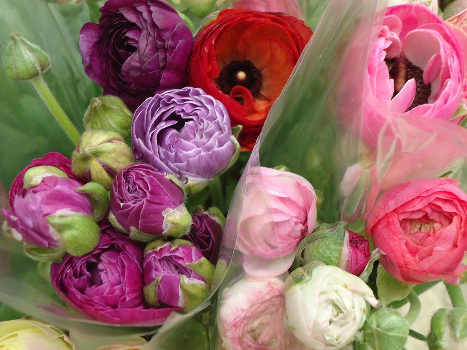 flowers in gorgeous bouquets
