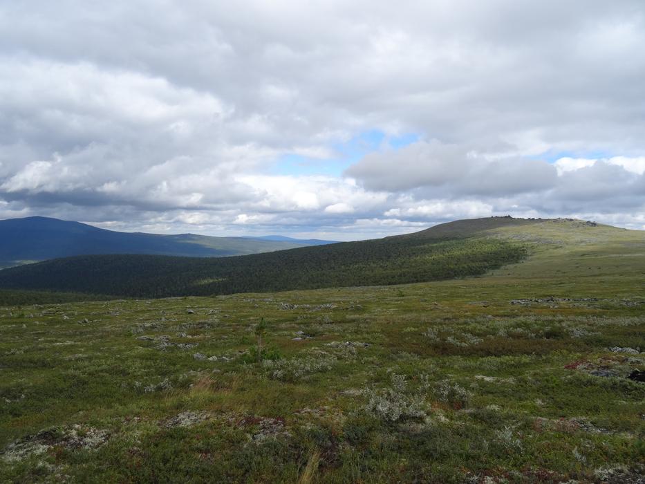 Dyatlov Pass Kurumnik Road