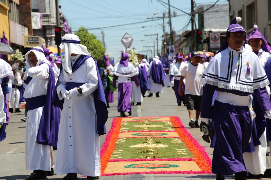 Easter Street Purple