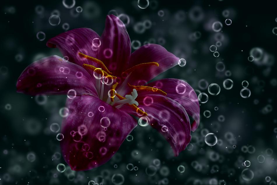 raindrops with flowers