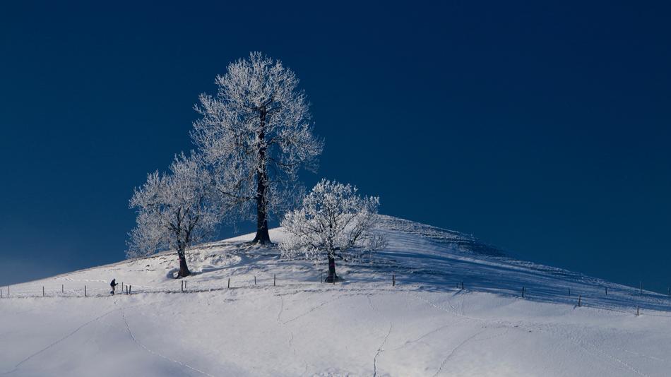 snow white landscape