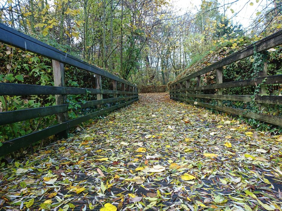 Long Way Future Road