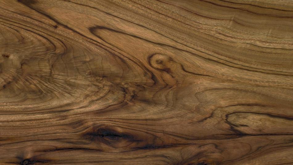 Close-up of the colorful and beautiful wood texture, with the patterns