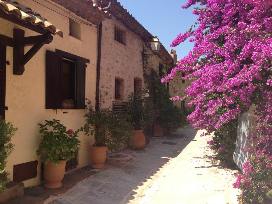 Flowers France Street