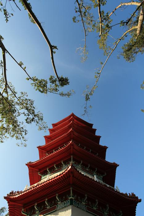 Chinese garden in Singapore