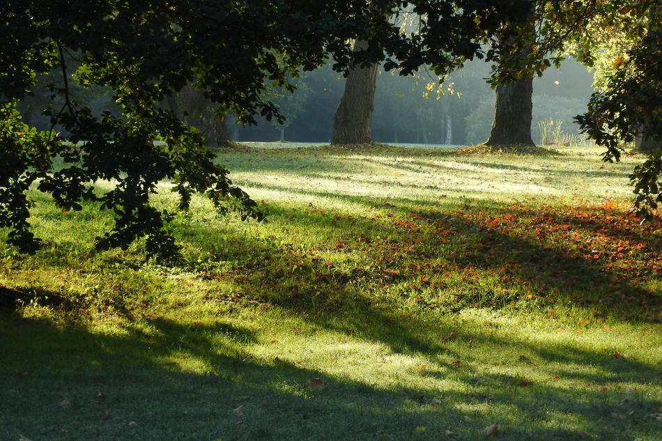 Park Autumn