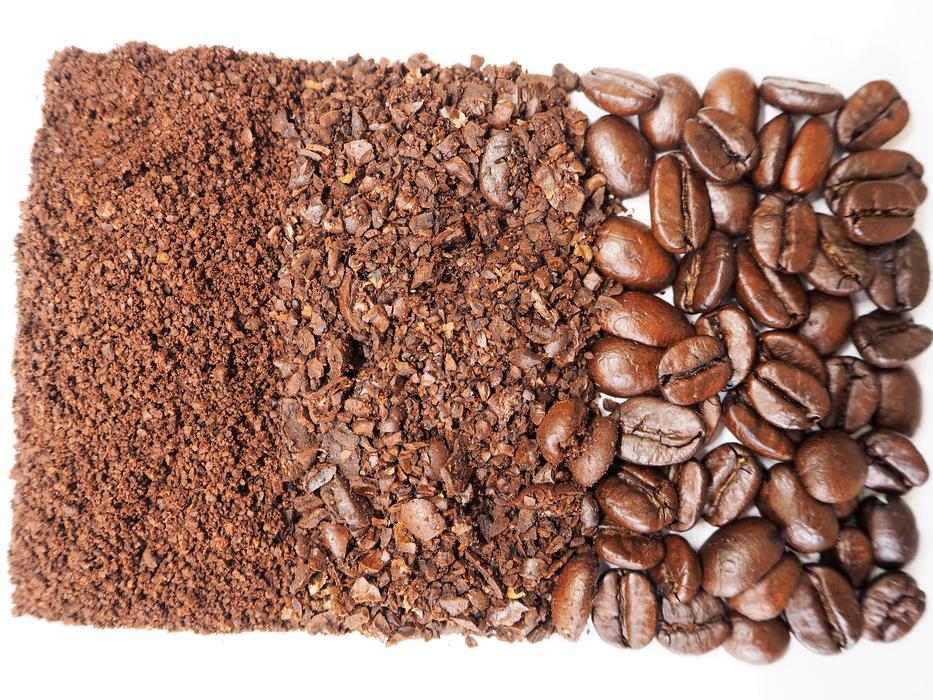 various coffee seeds