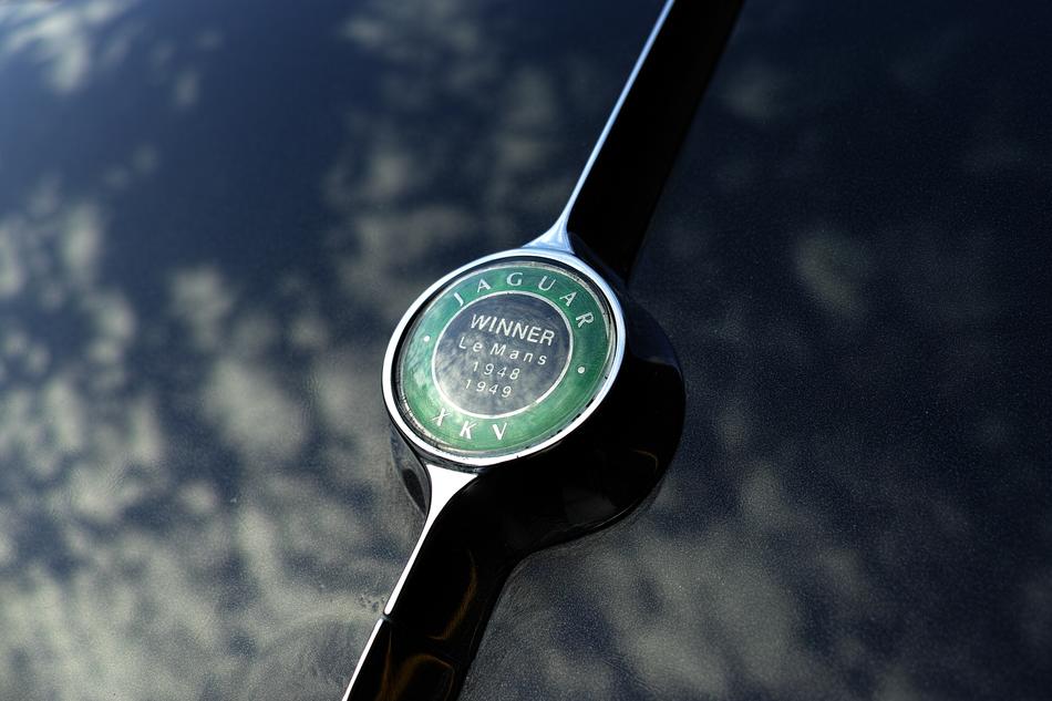 Car Logo Reflection