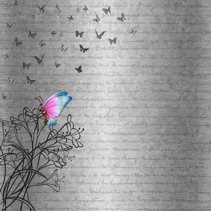 gray background paper with colorful butterfly